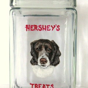 Pet Treat Jar, Springer Spaniel Decor, Pet Portrait Painting, Dog Biscuit Container, Custom Canister, HandPainted Glass Jar, Dog Food Holder