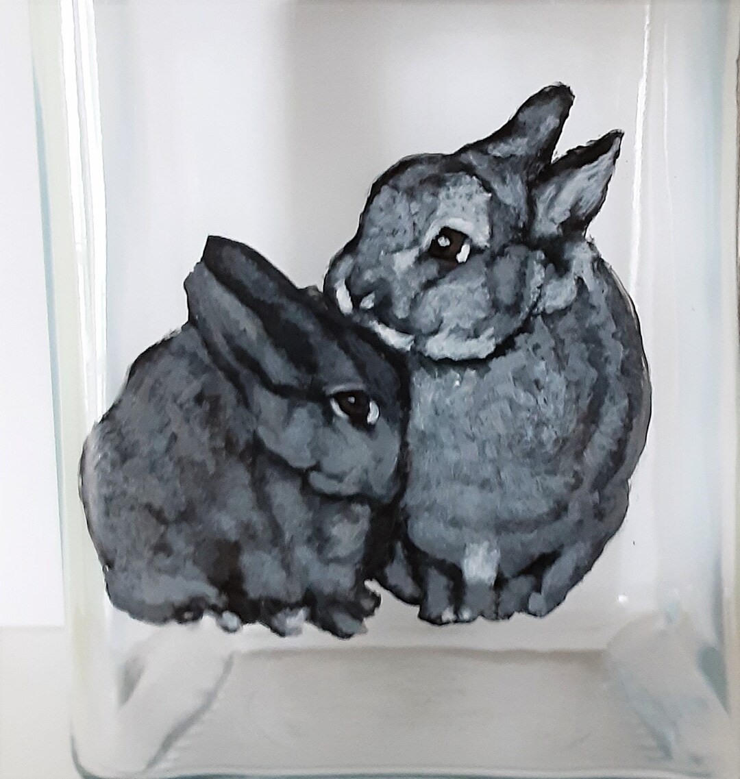 Rabbit Food Jar Bunny Treat Jar Pet Storage Container Etsy UK
