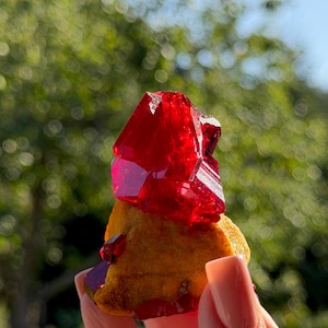 Op de afbeelding: Een levendig rood kristallijn mineraal exemplaar met scherpe, doorschijnende facetten bevestigd aan een textuurrijke, mosterdgele rotsachtige basis. Het kristal vertoont diepe karmozijnrode tinten en geometrische randen.