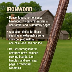 May include: Close-up of a brown and tan ironwood stick with the text "IRONWOOD". The text describes the hardwood's dense, tough nature, and its use in carving boards and tool handles. The background shows a wooden cabin.