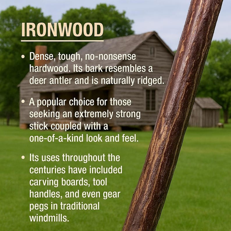May include: Close-up of a brown and tan ironwood stick with the text "IRONWOOD". The text describes the hardwood's dense, tough nature, and its use in carving boards and tool handles. The background shows a wooden cabin.