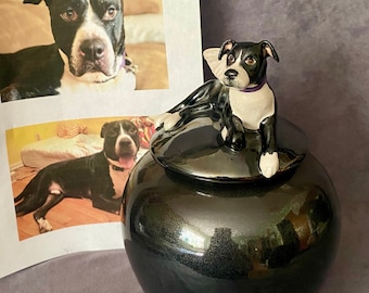 Pitbull Urns - Custom China Painted