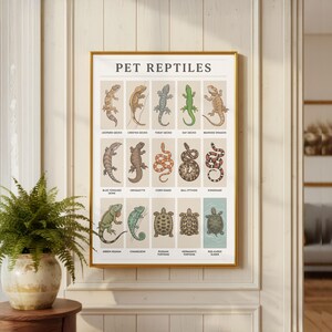 May include: A rectangular wall poster titled PET REPTILES featuring fifteen illustrated reptiles in a grid. The chart displays a leopard gecko, crested gecko, tokay gecko, day gecko, bearded dragon, blue-tongued skink, uromastyx, corn snake, ball python, kingsnake, green iguana, chameleon, Russian tortoise, Hermann's tortoise, and red-eared slider.