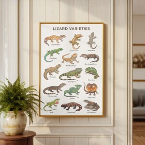 Può includere: Una stampa artistica da parete incorniciata ed educativa intitolata LIZARD VARIETIES, che presenta illustrazioni dettagliate di varie specie di lucertole, tra cui un geco leopardo, un geco crestato, un geco tokay, un geco diurno, un drago barbuto e uno scinco.