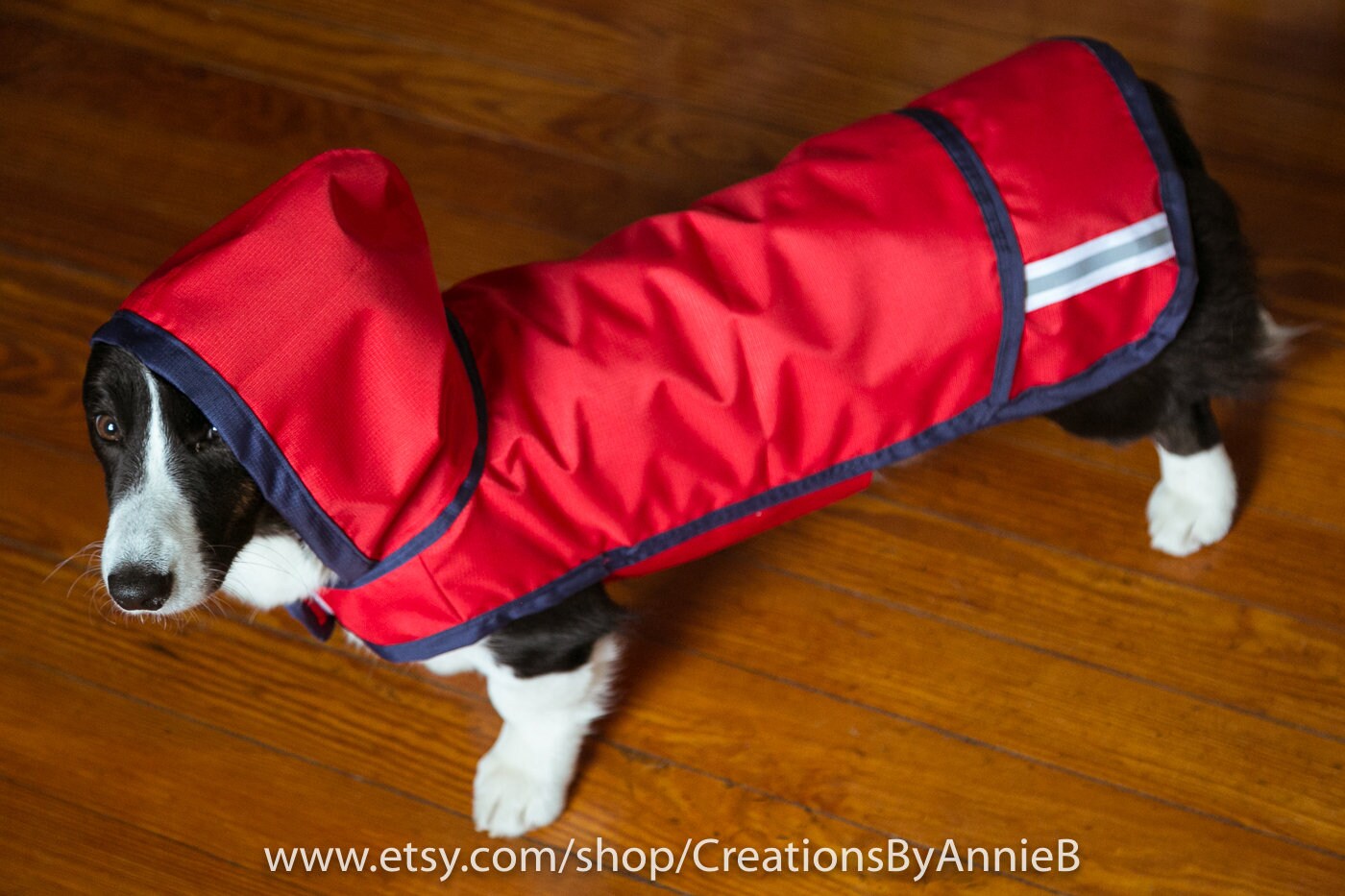 Rain Jacket Etsy