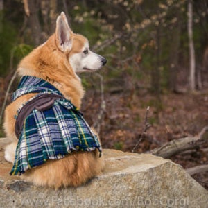 Corgi Kilt