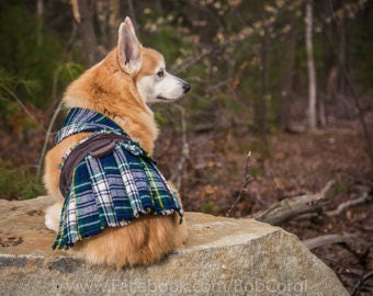 Corgi Kilt