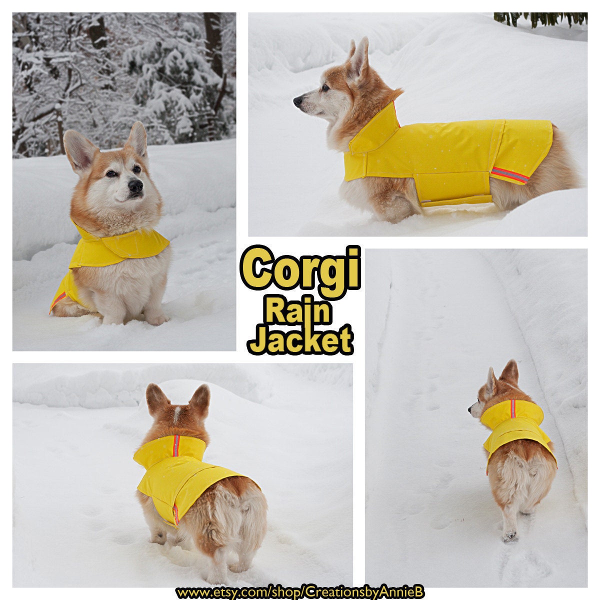 Corgi Jacket Corgi Jacket