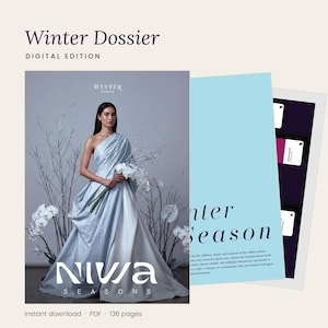 Vinterdossier digital utgåva | Säsongsbetonad färganalys PDF-guide för ljus, sval och djup vinter | Omedelbar nedladdning av stil e-bok