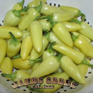 Santa Fe Grande Pepper Seeds (Medium to Hot)