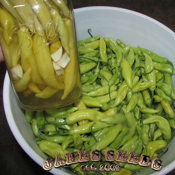 Italian Wax Pickling Pepper Seeds