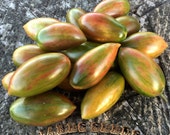 Lucky Tiger Striped Cherry Tomato Seeds