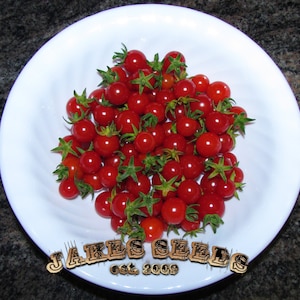 sale item - Matt&#39;s Wild Cherry Heirloom Tomato Seeds