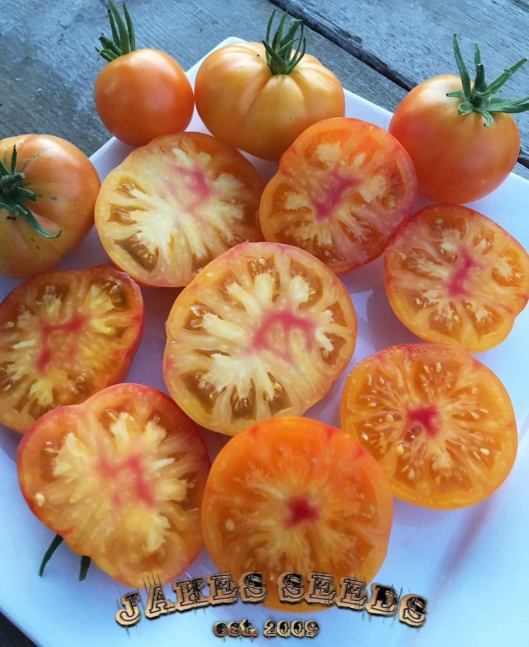 Oaxacan Jewel Tomato Heirloom Tomato Seeds Etsy