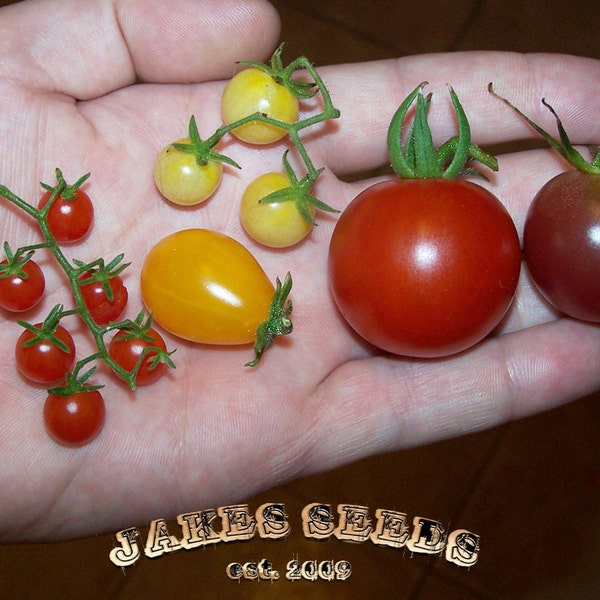 Sale - Jakes Cherry Mix Bag of Tomato Seeds