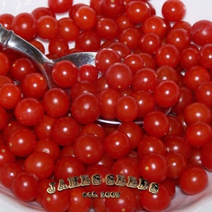 May include: A white bowl filled with bright red cherry tomatoes. The tomatoes are arranged in a random pattern and are all about the same size. A silver spoon is resting on top of the tomatoes.