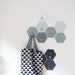 see more listings in the Hexagon wall hooks section