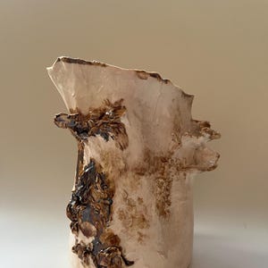May include: A ceramic vase with an off-white, textured surface featuring irregular, dark brown, glossy glaze accents that mimic organic growth. The vessel has a wide, uneven rim and a cylindrical body with protruding, bark-like sculptural details.