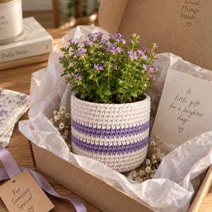 Puede incluir: Una planta en maceta con pequeñas flores moradas se encuentra dentro de una funda de ganchillo a rayas blancas y lavanda, colocada en una caja de regalo de cartón. La caja incluye papel de seda blanco y una tarjeta con el texto A little gift.