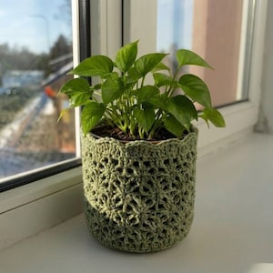 May include: A vibrant green pothos plant with heart-shaped leaves is housed in a sage green crocheted plant pot cover. The cover features a textured, repeating star-like stitch pattern with a scalloped top edge, fitting snugly around the container.