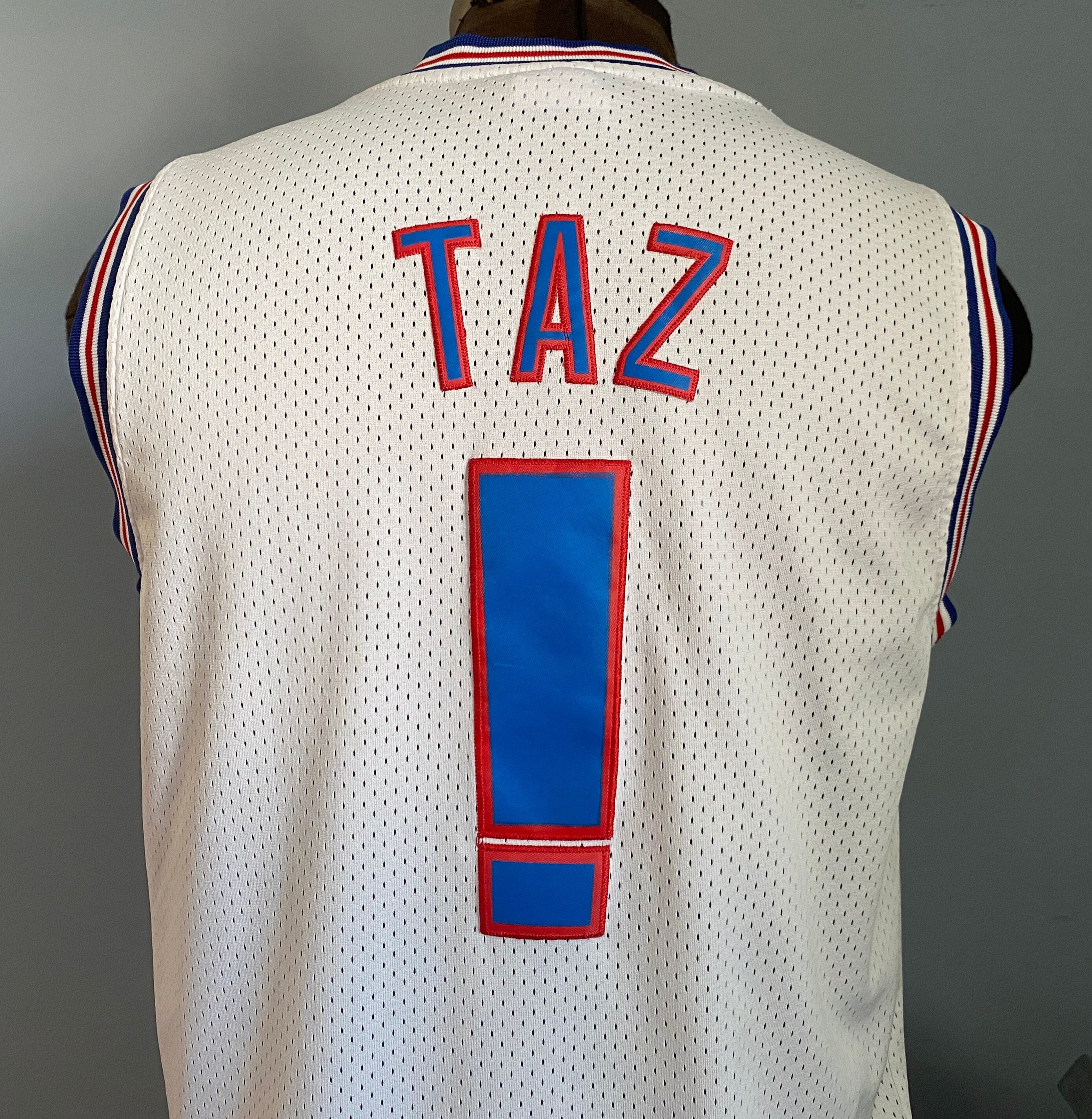 Vintage 90s Space Jam Taz Jersey - Champion Tune Squad - Medium - Etsy