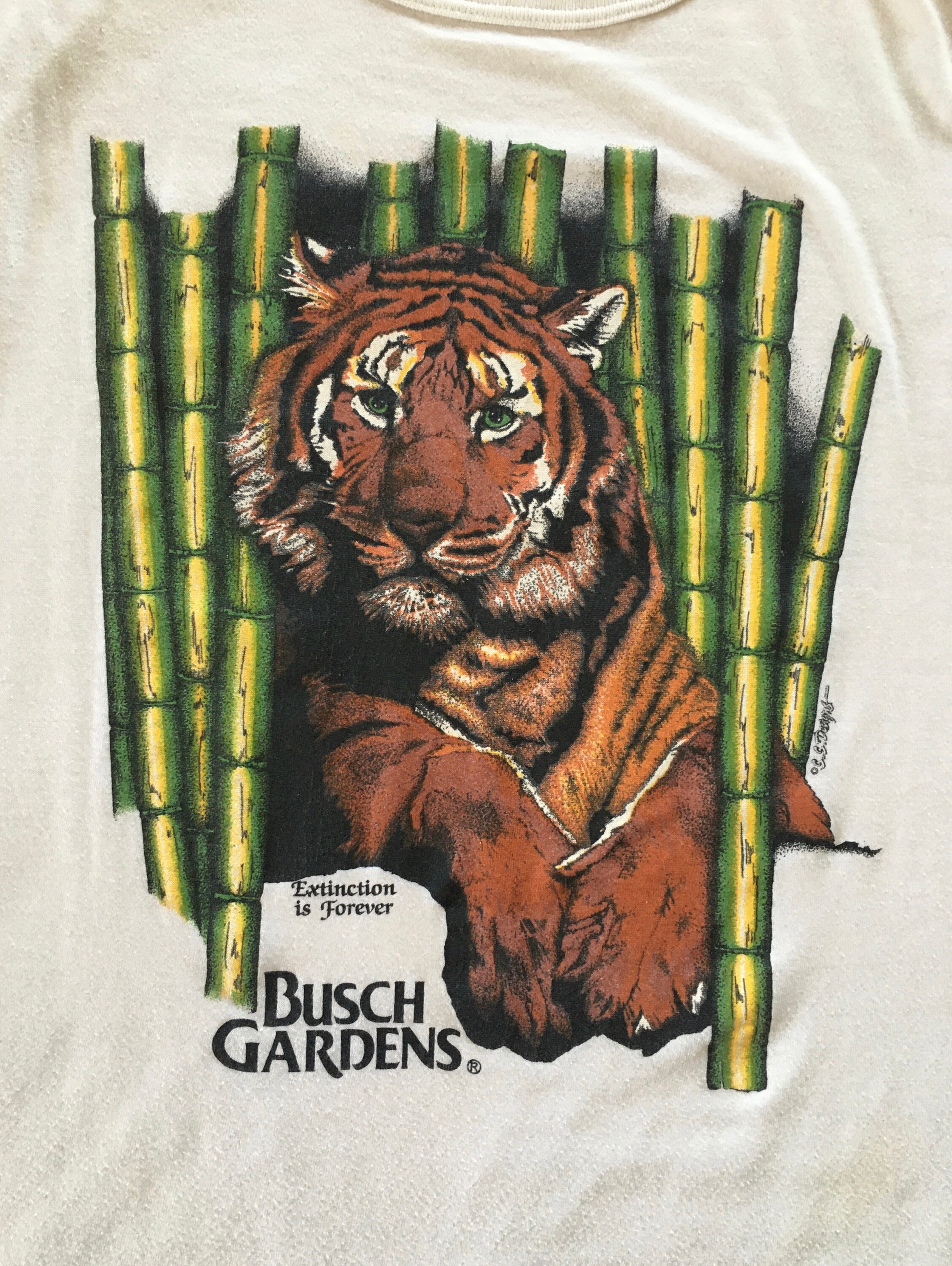 THE TIGERS ビンテージ 70s 80s バンドT バンT KOSE THE TIGERS ビンテージ 70s 80s バンドT バンT KOSE THE TIGERS