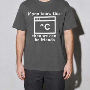 Ctrl C Terminal T-shirt, Minimalistisch Command Line T-shirt, Grappig Cadeau voor Programmeur, Linux Developer Shirt, Comfort Colors Graphic Tee