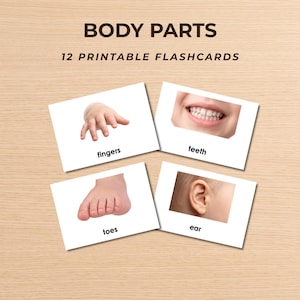 Pode incluir: Um conjunto de 12 cartões didáticos imprimíveis intitulados BODY PARTS. Quatro cartões estão visíveis, cada um com uma fotografia de uma parte do corpo humano e a etiqueta correspondente: fingers, teeth, toes e ear. Cartões brancos.