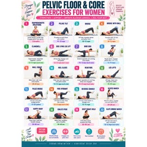 May include: A white instructional poster titled Pelvic Floor & Core Exercises for Women featuring twenty numbered illustrations of various physical exercises. Each section includes a title, a visual demonstration, and brief text instructions.
