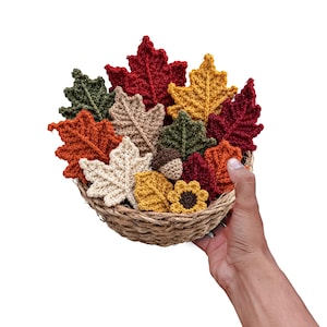 Autumn Leaves Crochet Pattern PDF Fall Leaf Crochet Set 13 Piece Collection Digital Download