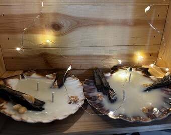 Scallop Shell Scented Candles