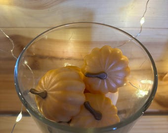 Pumpkin Scented Wax Melts