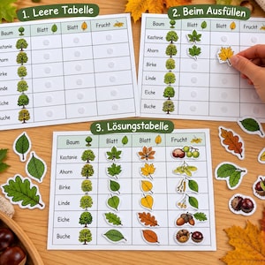 Könnte beinhalten: Drei pädagogische Baum-Bestimmungstabellen mit Spalten für Baumarten, grüne Blätter, gelbe Blätter und Früchte. Die Tabellen enthalten die Beschriftungen Leere Tabelle, Beim Ausfüllen und Lösungstabelle sowie verschiedene lose Blatt- und Frucht-Ausschnitte.