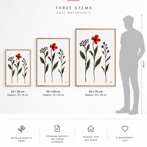 May include: A size guide for Three Stems by Kall Botanicals featuring three framed botanical prints with red flowers and green stems. Sizes include 25x38 cm, 40x60 cm, and 50x75 cm, with a silhouette of a person measuring 180 cm for scale.