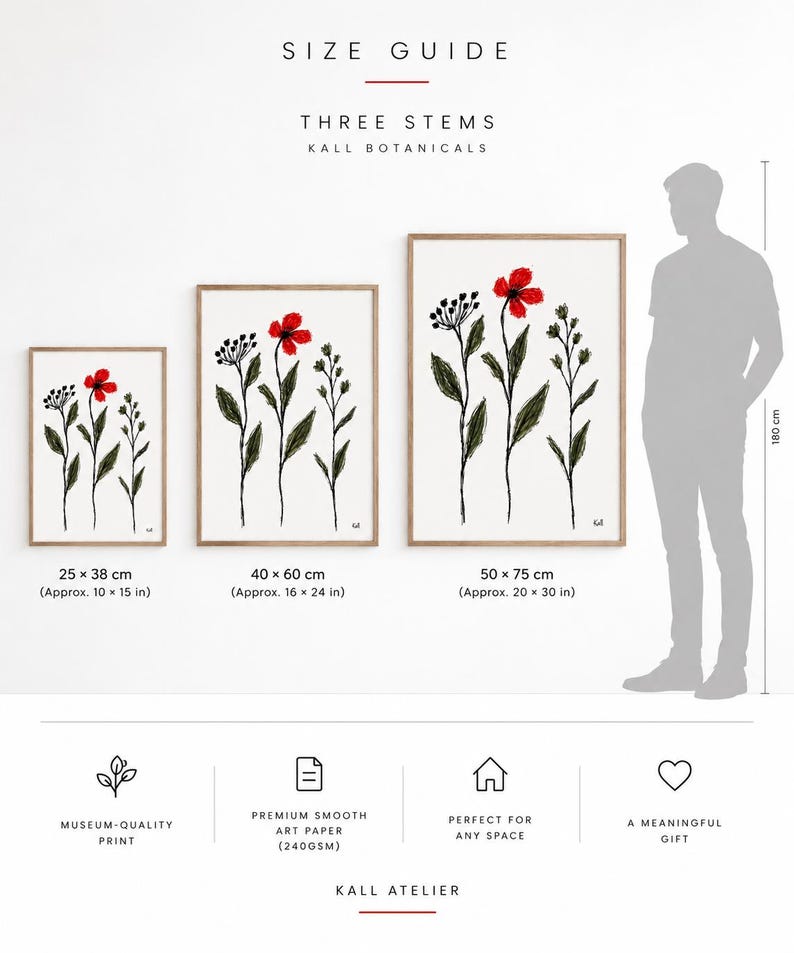 May include: A size guide for Three Stems by Kall Botanicals featuring three framed botanical prints with red flowers and green stems. Sizes include 25x38 cm, 40x60 cm, and 50x75 cm, with a silhouette of a person measuring 180 cm for scale.