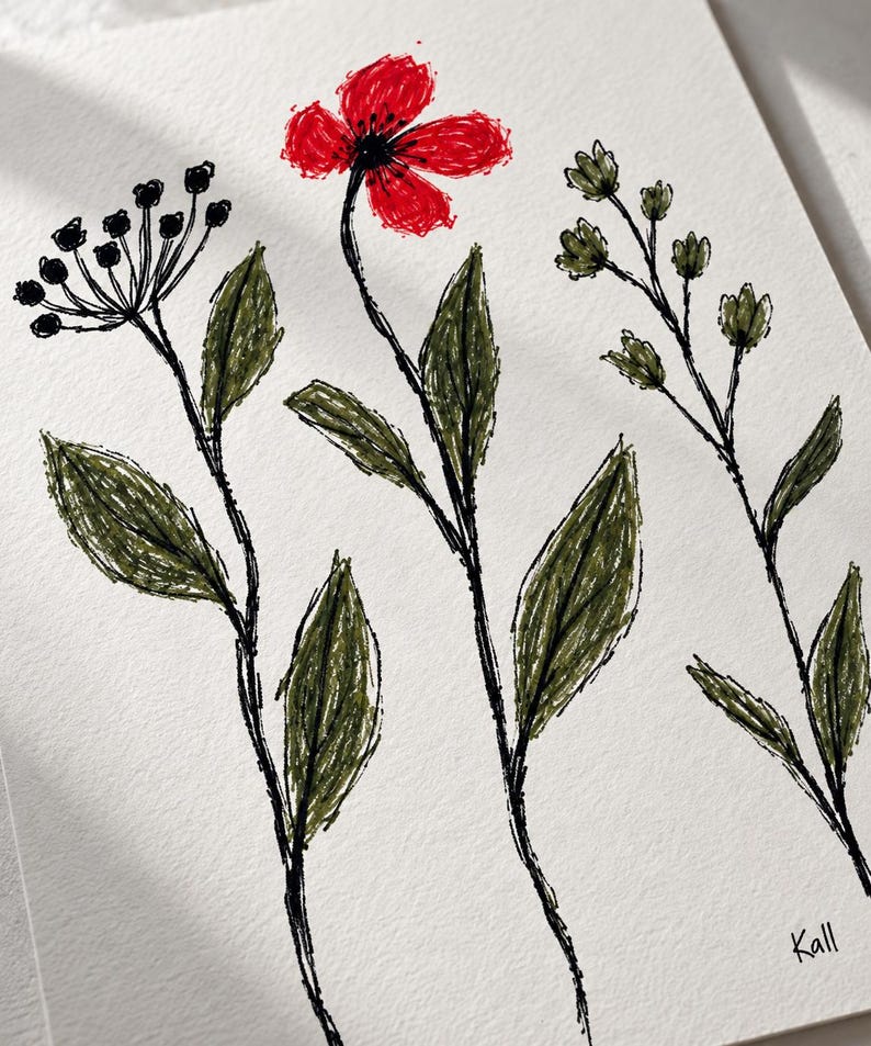 May include: A drawing on white paper featuring three botanical stems with dark green leaves and black outlines. The center stem has a single bright red flower. The left stem ends in a cluster of black berries, and the right stem has small buds. The text Kall is visible in the bottom right corner.