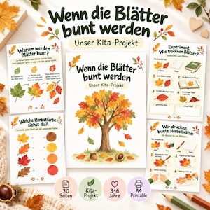Könnte beinhalten: Eine Sammlung von pädagogischen Arbeitsblättern mit dem Titel Wenn die Blätter bunt werden, illustriert mit herbstlichen Bäumen, Blättern und Kastanien. Die Seiten enthalten Anleitungen für Experimente, Farbübungen und Druckaktivitäten für Kinder.