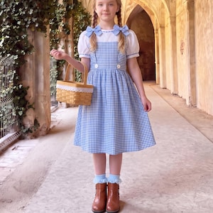 May include: A blue and white gingham pinafore dress with a white short-sleeved blouse underneath. The dress features two white buttons at the waist and blue bows on the shoulders. A woven wicker basket with a white lace trim is held in one hand.