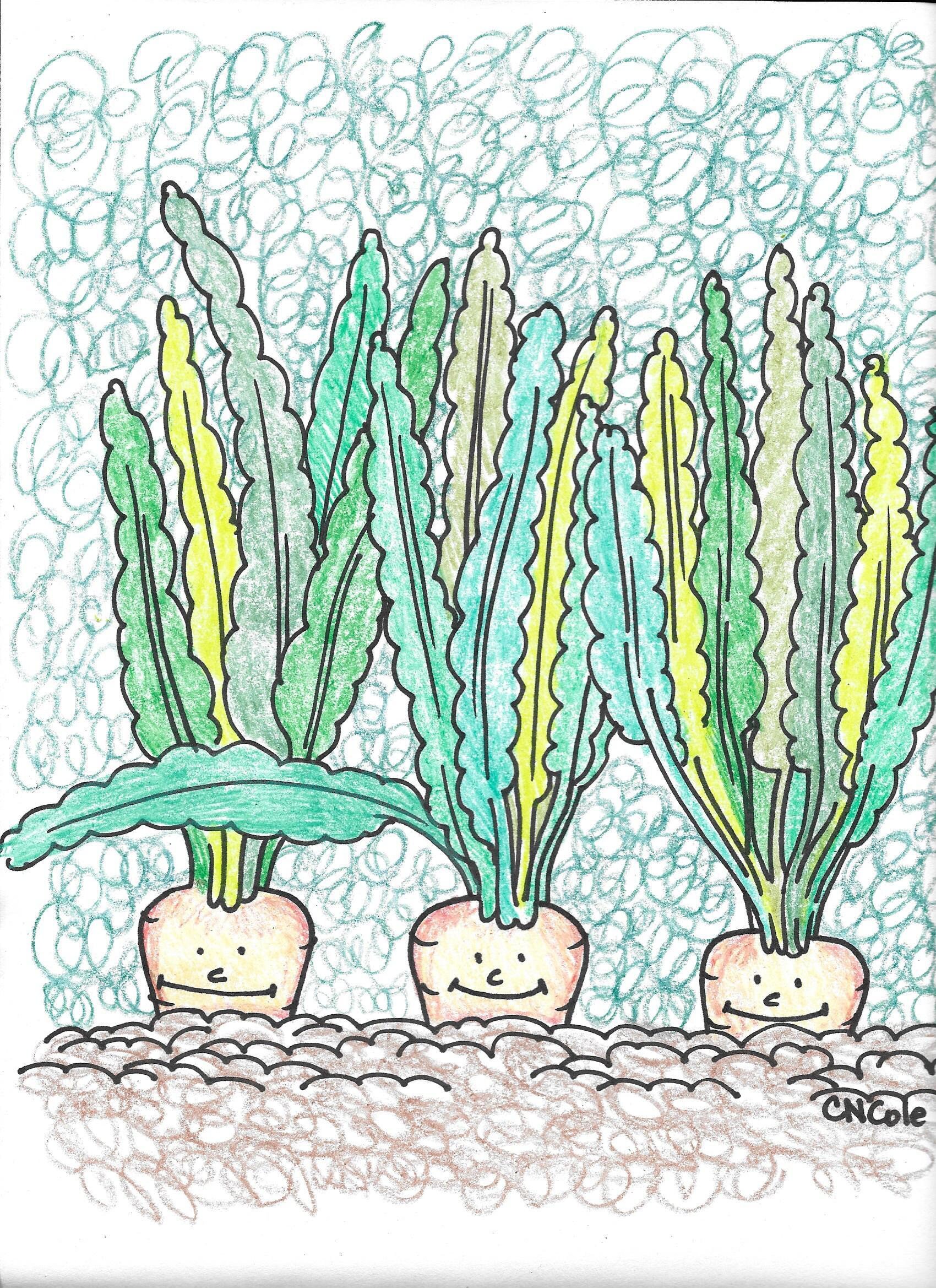 The Happy Little Garden Coloring Book - Etsy