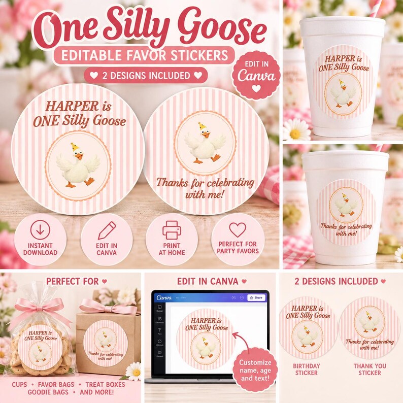 Editable Sticker Card Editable Silly Goose 1st Birthday Favor Stickers, Canva Template ...