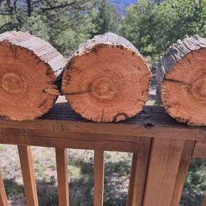 Puede incluir: Tres troncos de madera cilíndricos dispuestos en una fila horizontal. Cada tronco presenta un exterior de corteza rugosa y desgastada, y una cara transversal circular plana que muestra vetas naturales, anillos de crecimiento y grietas.