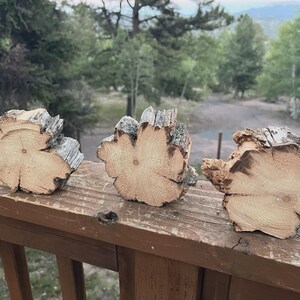 May include: Three natural wood slices with rough, textured bark edges and light-coloured, circular grain patterns on the flat faces. Each piece features a unique, irregular shape with visible growth rings and a light tan, woody interior surface.