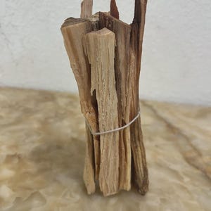 May include: A bundle of light brown, splintered wooden sticks held together by a thin, white elastic band. The wood pieces have a rough, fibrous texture with varying shades of tan and dark brown, standing upright in a vertical arrangement.