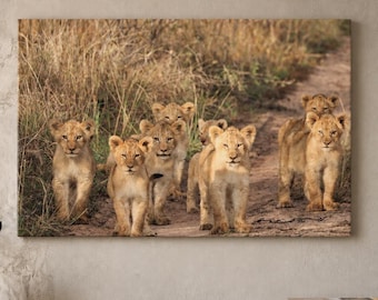 Lion Cub Pride Walking Together Canvas, Kruger National Park, South Africa Wildlife Photography, Wall Art
