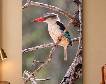 May include: A rectangular wall art print featuring a woodland kingfisher perched on a thin, bare tree branch. The bird has a bright red beak, a greyish-brown head, a white chest, and vibrant blue feathers on its wings and tail.