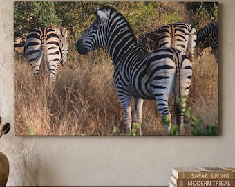 Zebra Herd Canvas, Kruger National Park, South Africa Wildlife Photography, Wall Art