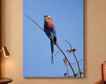 May include: A rectangular wall art print featuring a lilac-breasted roller bird perched on a thin, bare branch against a clear, solid light blue sky. The bird displays vibrant plumage with shades of lilac, turquoise, blue, and brown.