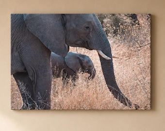 Elephant Mother and Calf Canvas, Kruger National Park, South Africa Wildlife Photography, Wall Art