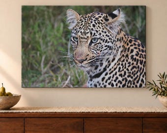 May include: A rectangular wall art print featuring a detailed portrait of a leopard with a spotted coat and light-colored eyes. The leopard is positioned against a blurred background of green grass and foliage, capturing its facial features.
