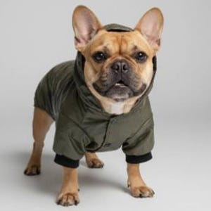 Hundvindjacka, Regnkläder för husdjur, Lagerdesign